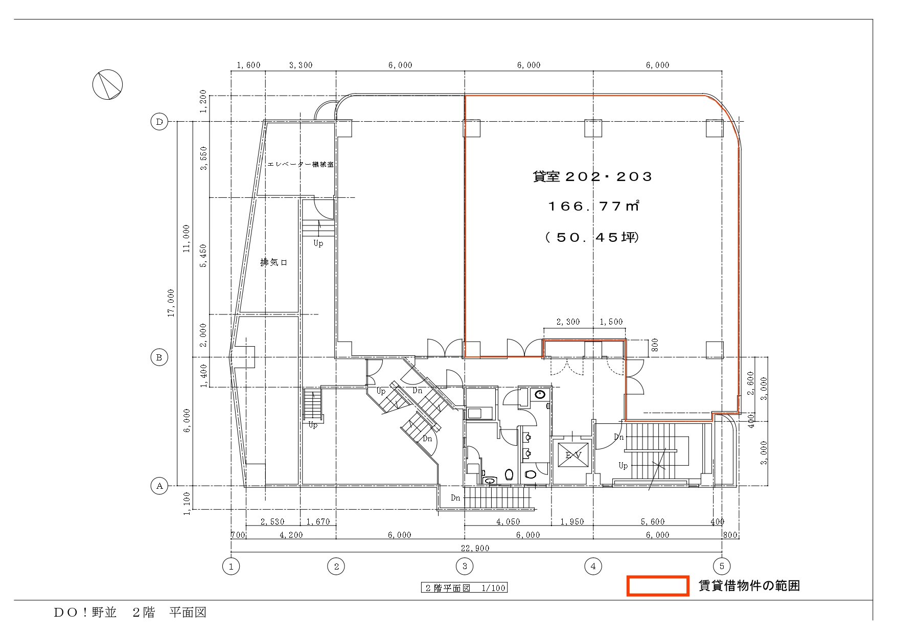 DO!野並 202・203平面図